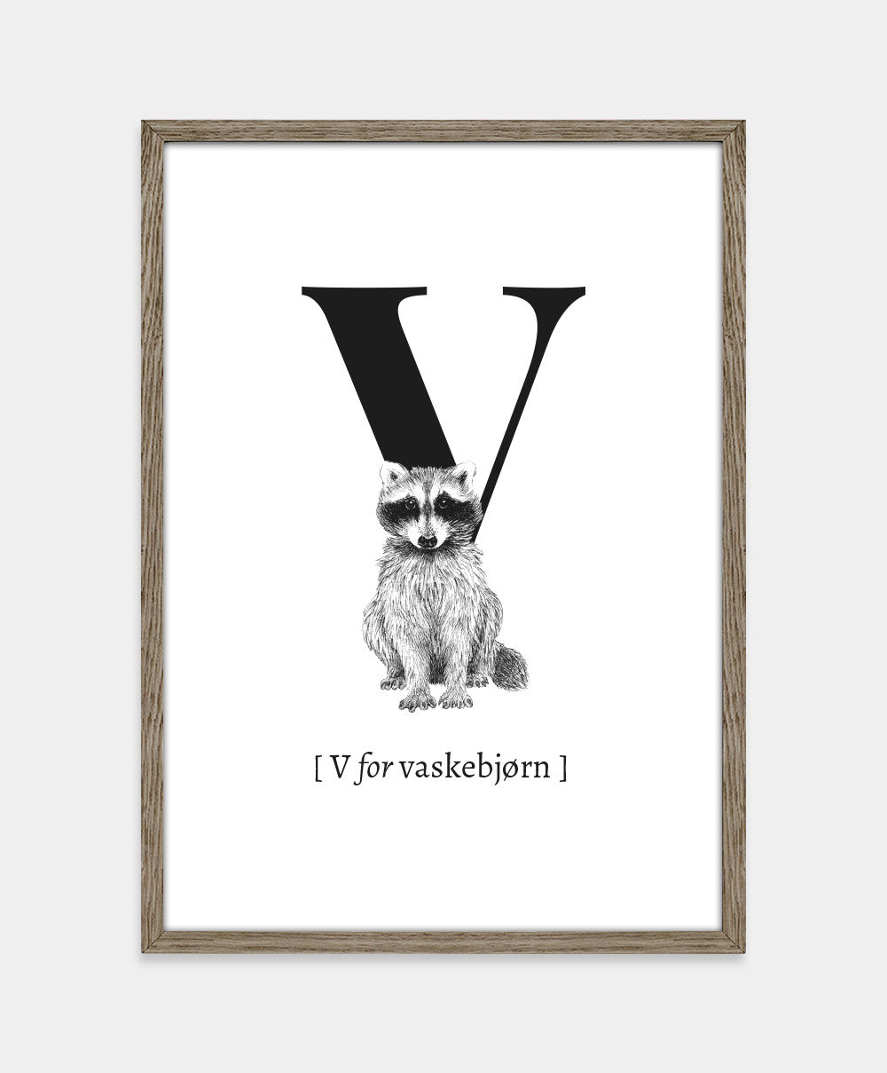 Bogstavplakat - V for vaskebjørn