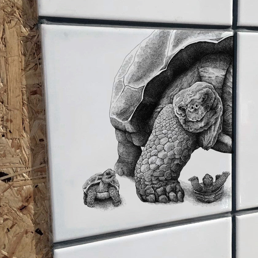 Sticker - Skildpadder