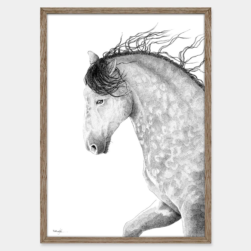 Gråskimmel hest - plakat fra Draw Doodles Study