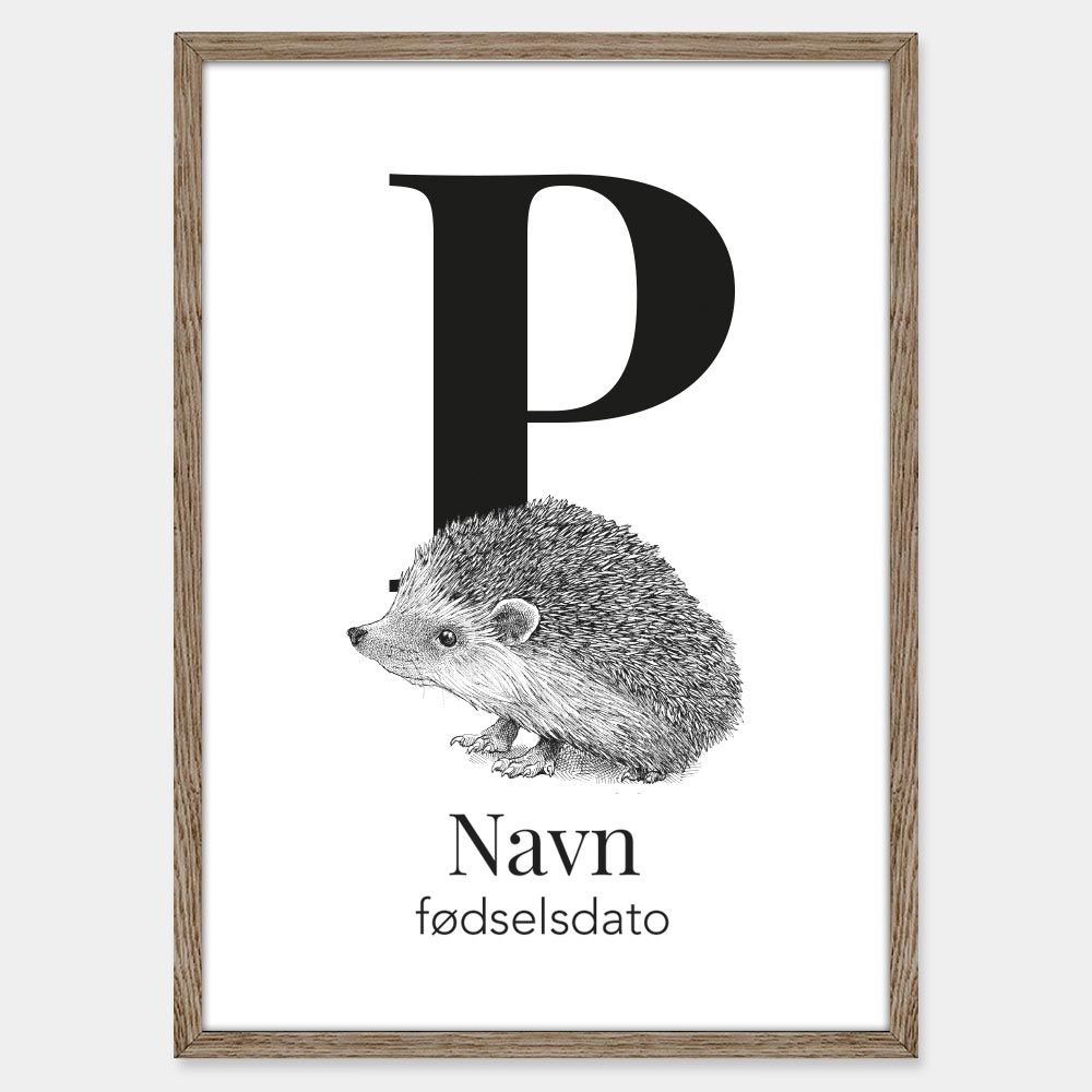 Navneplakat med pindsvin