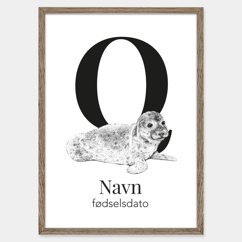 Navneplakat med qasigiaq (grønlandsk sæl)