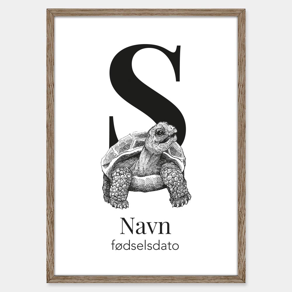 Navneplakat med skildpadde