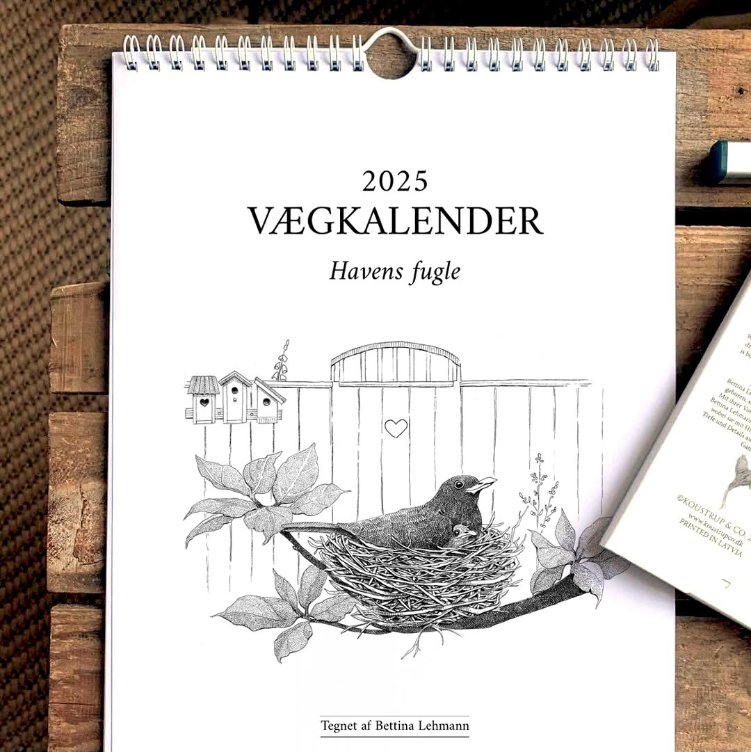 2025 kalender - Havens fugle