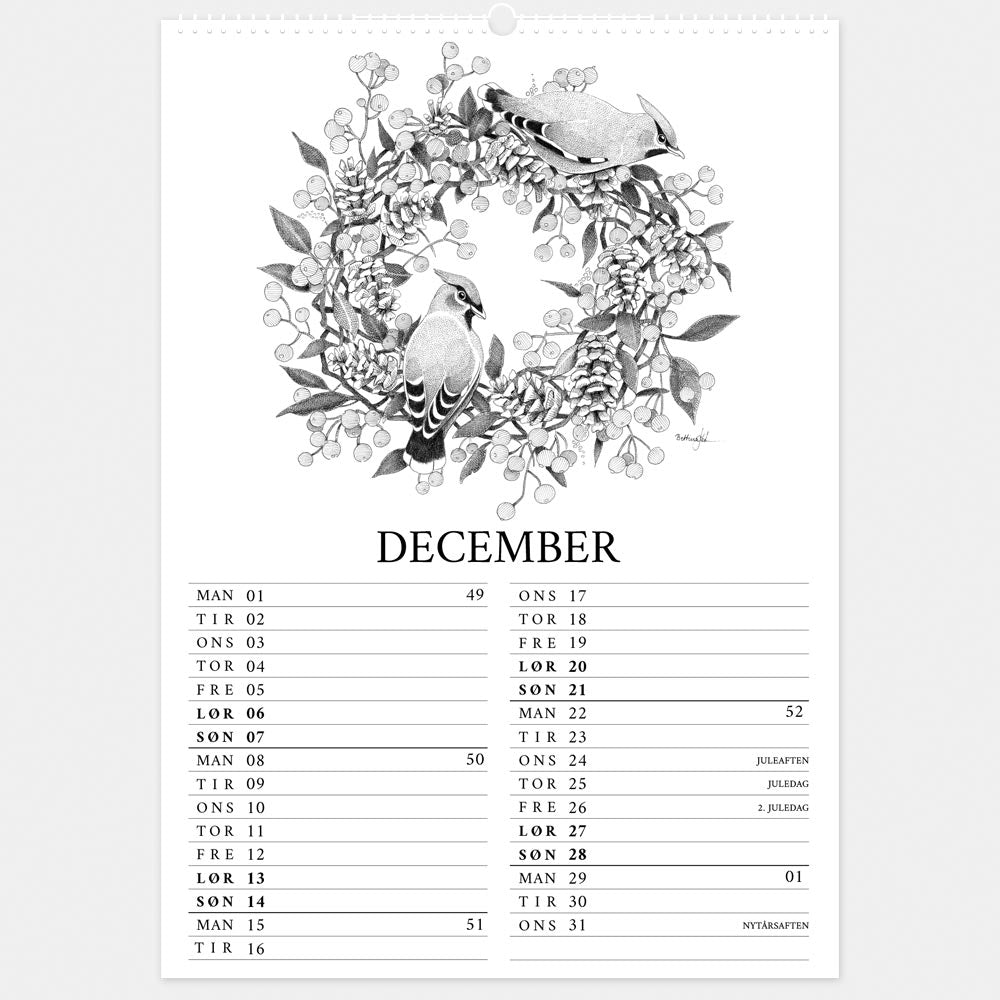 2025 kalender - Havens fugle. December med silkehaler