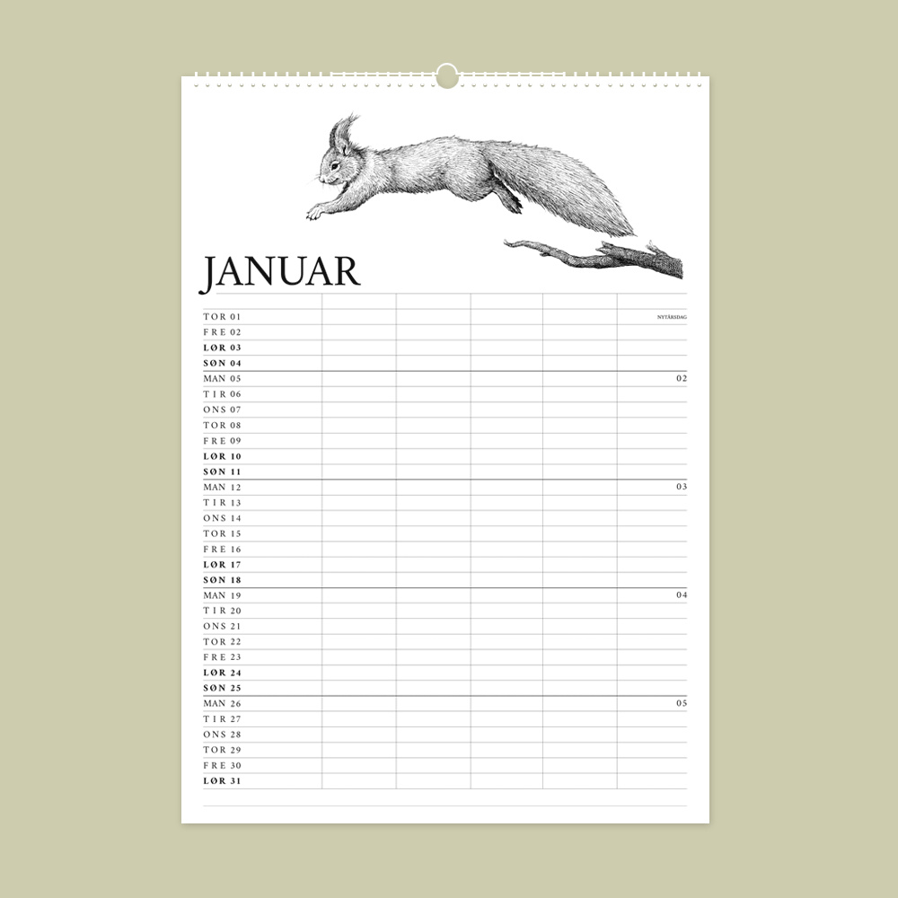 2026 familiekalender med dyr fra den danske natur. Januar er egern.