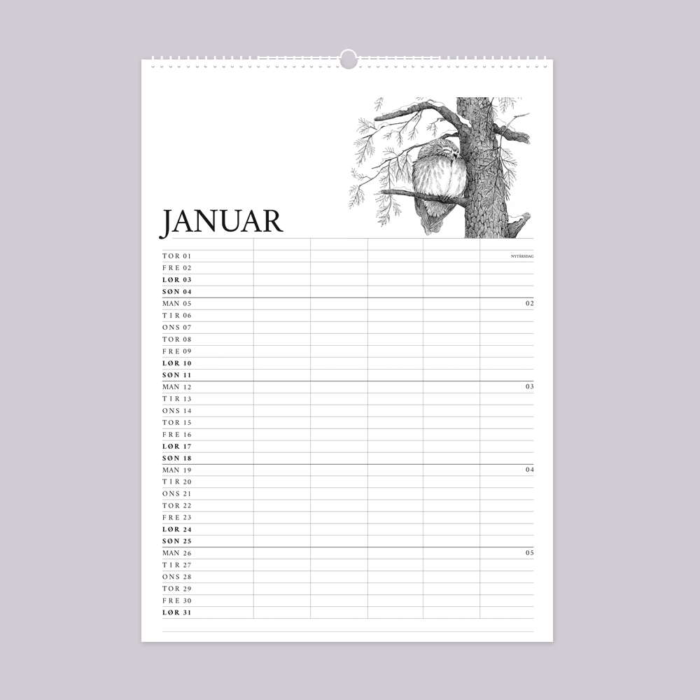 2026 familiekalender med vild have tema. Januar er med natugle.