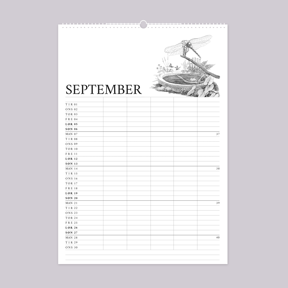 2026 familiekalender med vild have tema. September er med guldsmed og tudse.