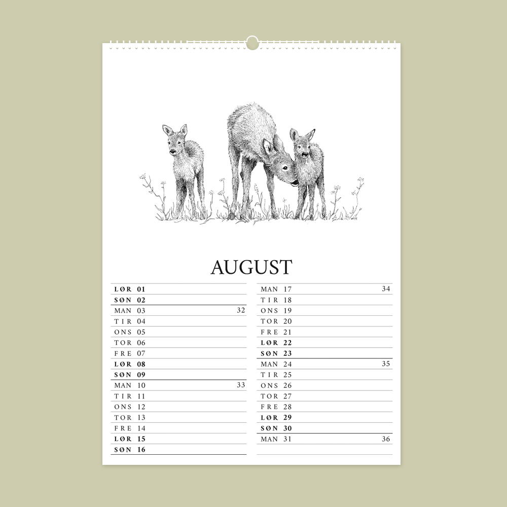2026 kalender med dyr fra den danske natur. August er med rådyr.
