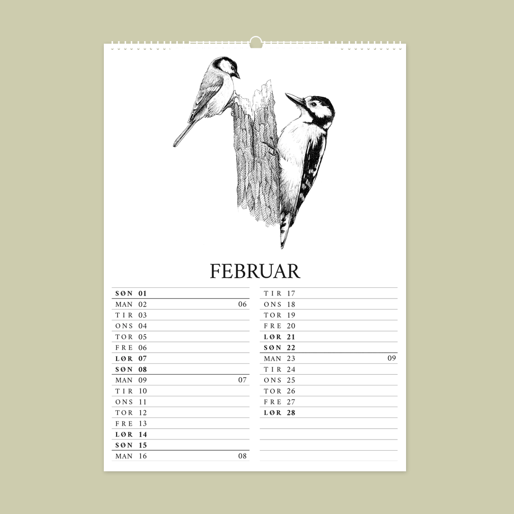 2026 kalender med dyr fra den danske natur. Februar er med sætte og musvit.