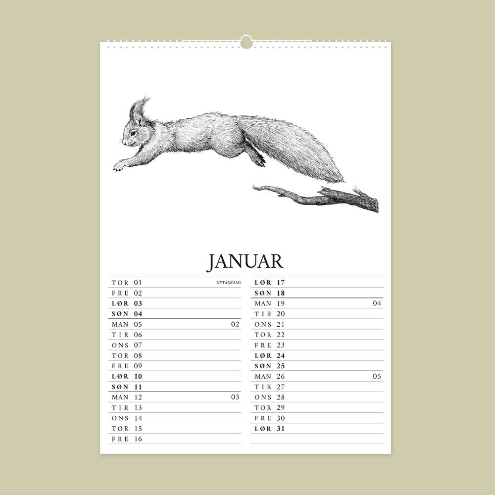 2026 kalender med dyr fra den danske natur. Januar er med egern. 