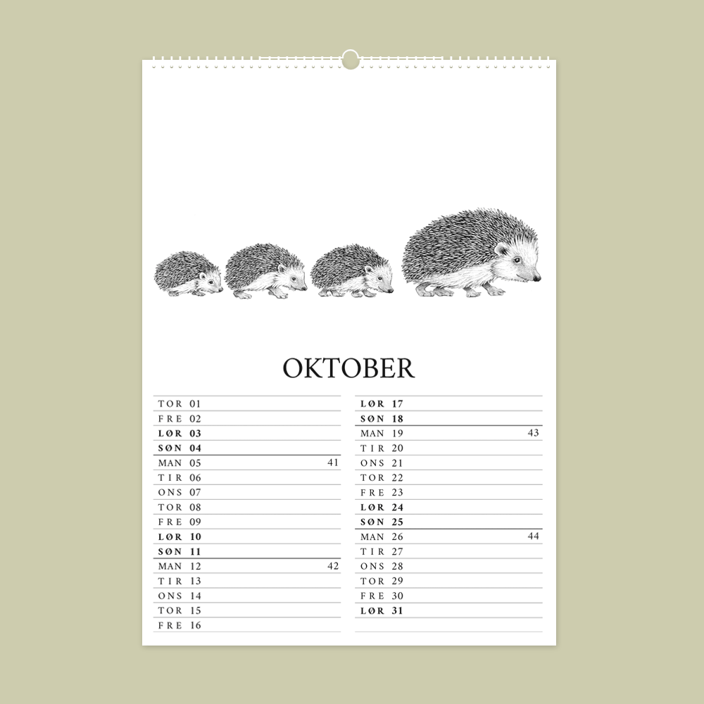 2026 kalender med dyr fra den danske natur. Oktober er med pindsvin.
