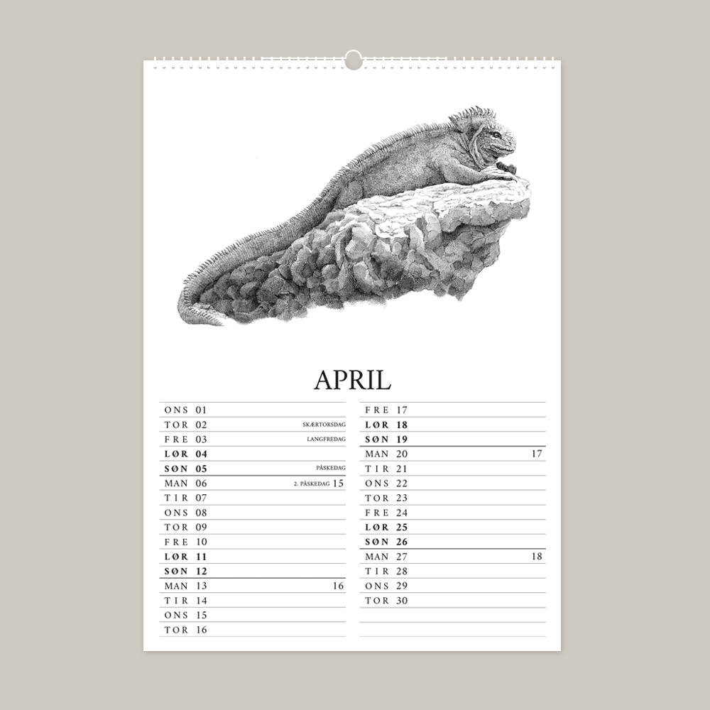 2026 kalender med fantastisk dyr fra Galapagos. April er med havleguan.