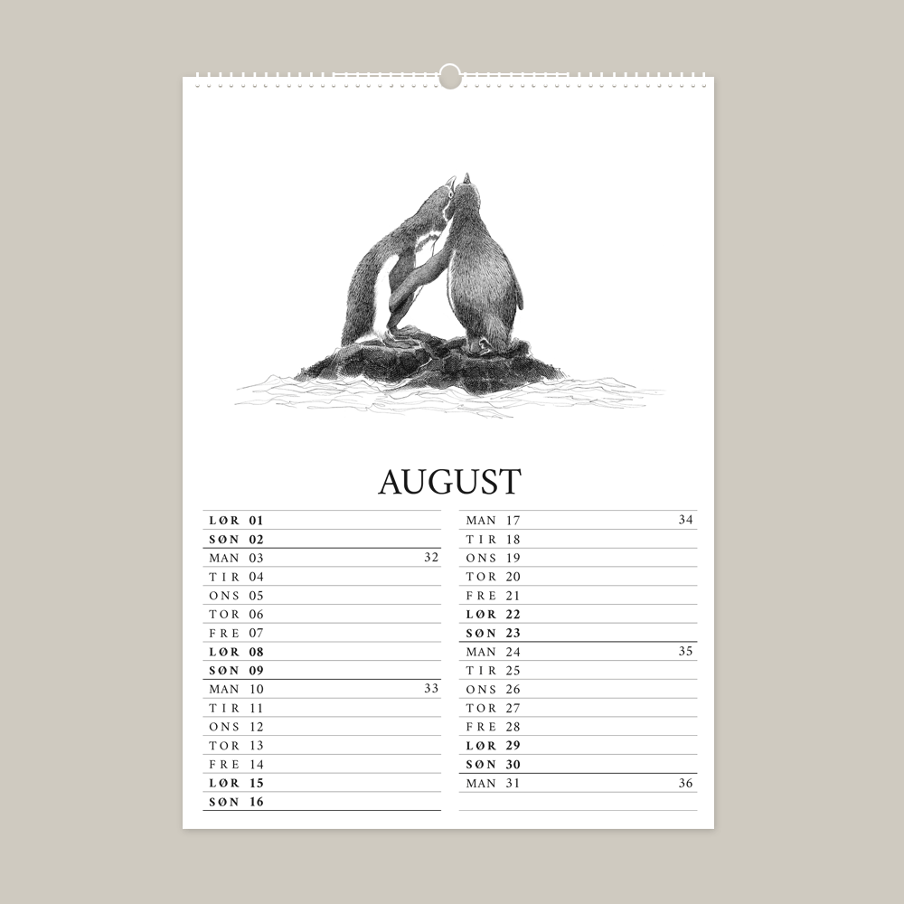 2026 kalender med fantastisk dyr fra Galapagos. August er med pingvin.
