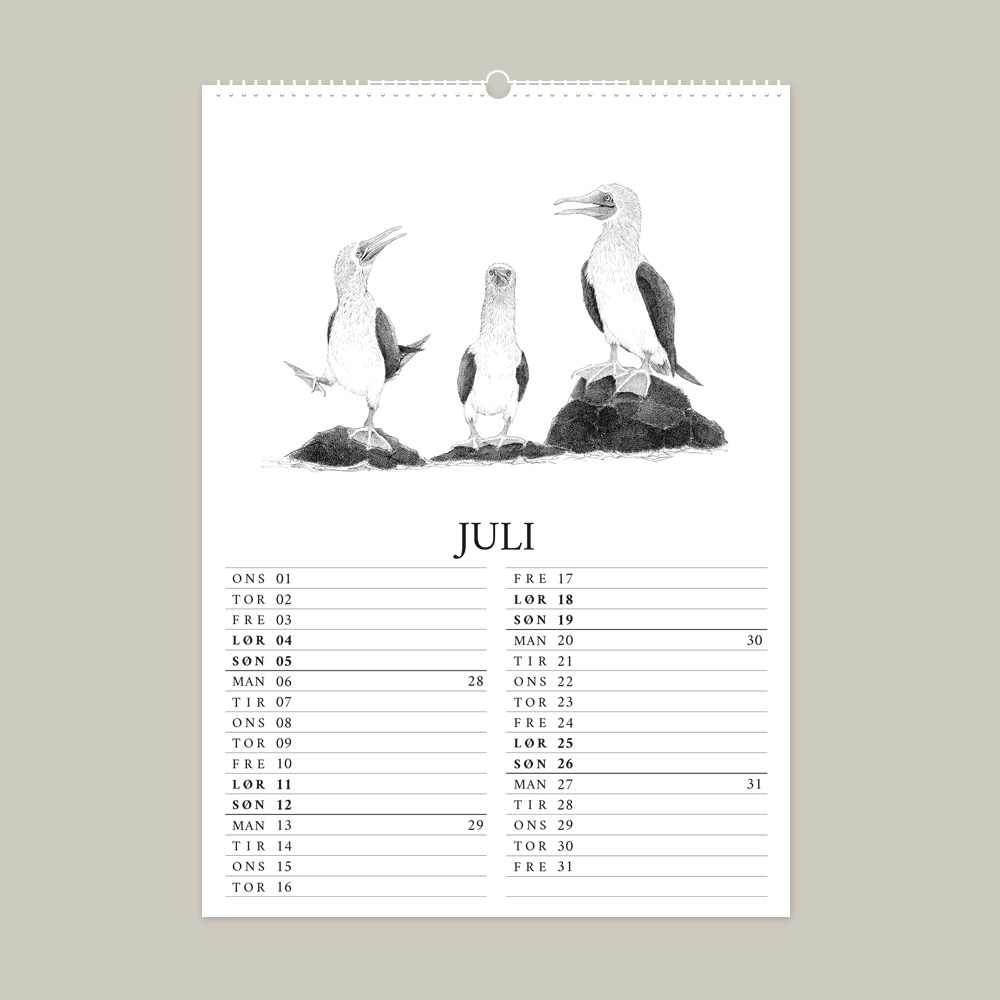2026 kalender med fantastisk dyr fra Galapagos. Juli er med blåfodet sule.