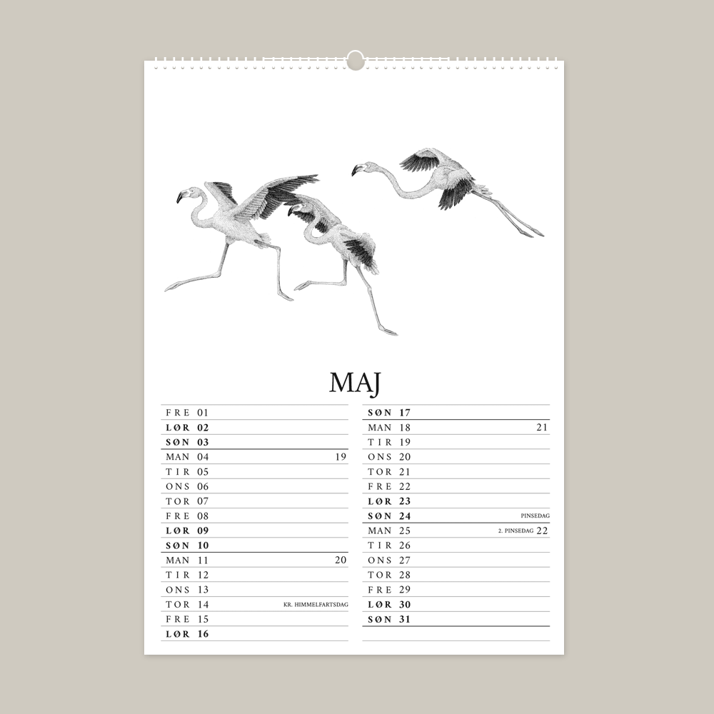 2026 kalender med fantastisk dyr fra Galapagos. Maj er med flamingo.