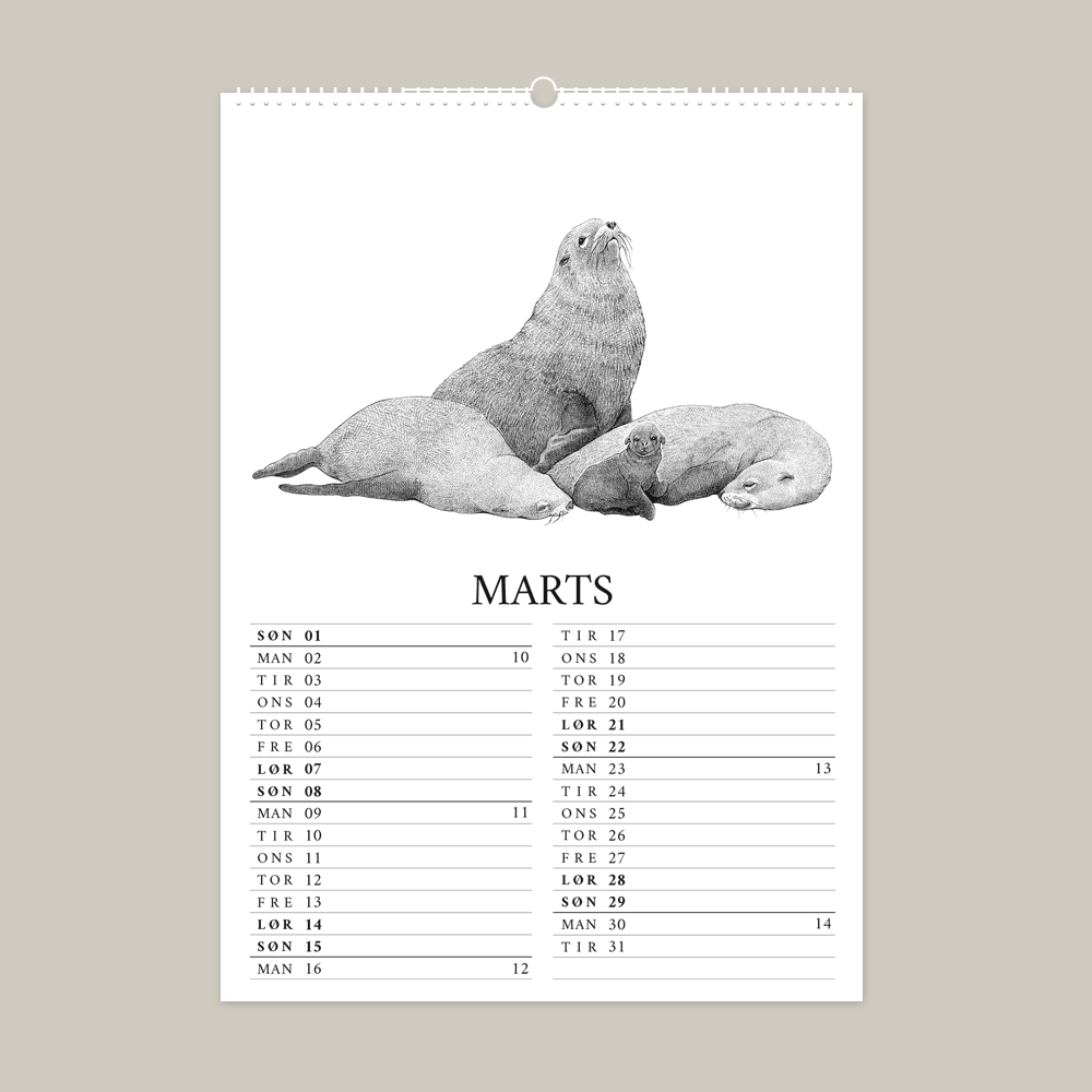 2026 kalender med fantastisk dyr fra Galapagos. Marts er med sæler.