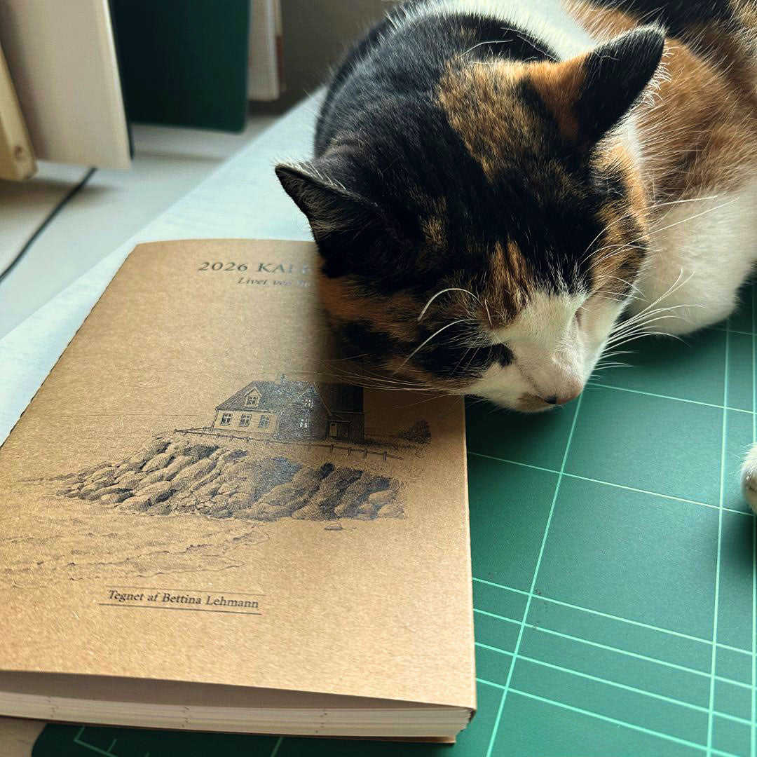 2026 ugekalender - Livet ved havet