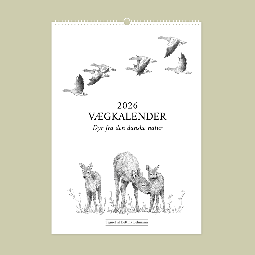 2026 vægkalender med dyr fra den danske natur. Håndtegnede illustrationer trykt på 300 g kvalitetspapir.