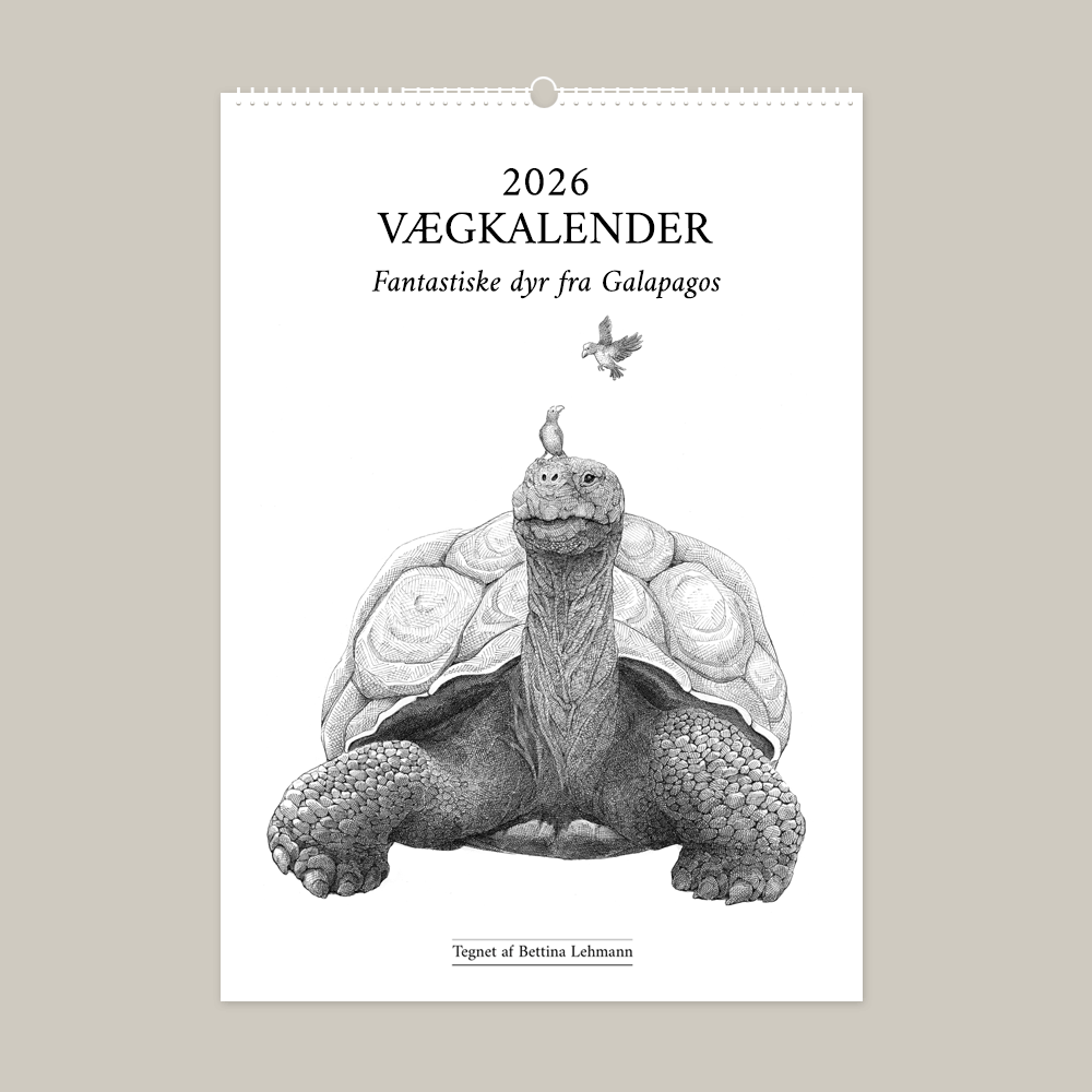2026 vægkalender - Fantastiske Galapagos