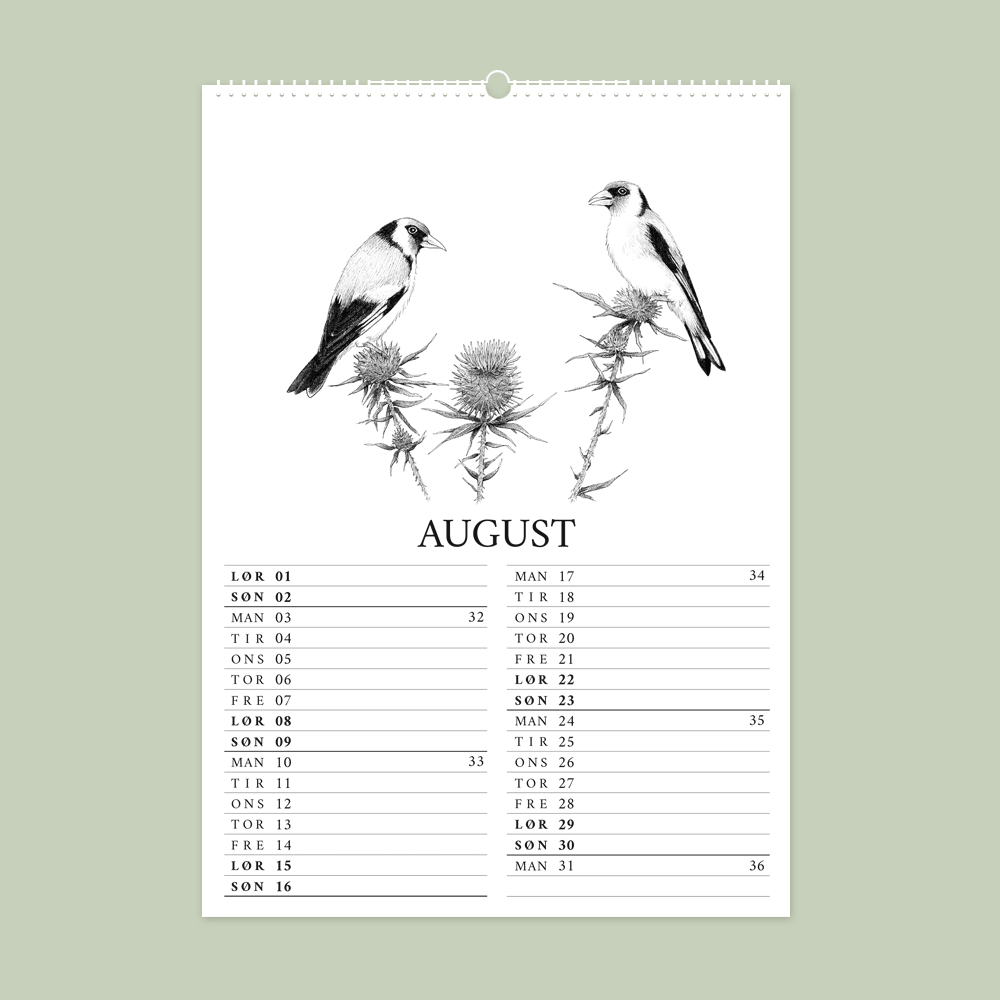 2026 vægkalender - Havens fugle