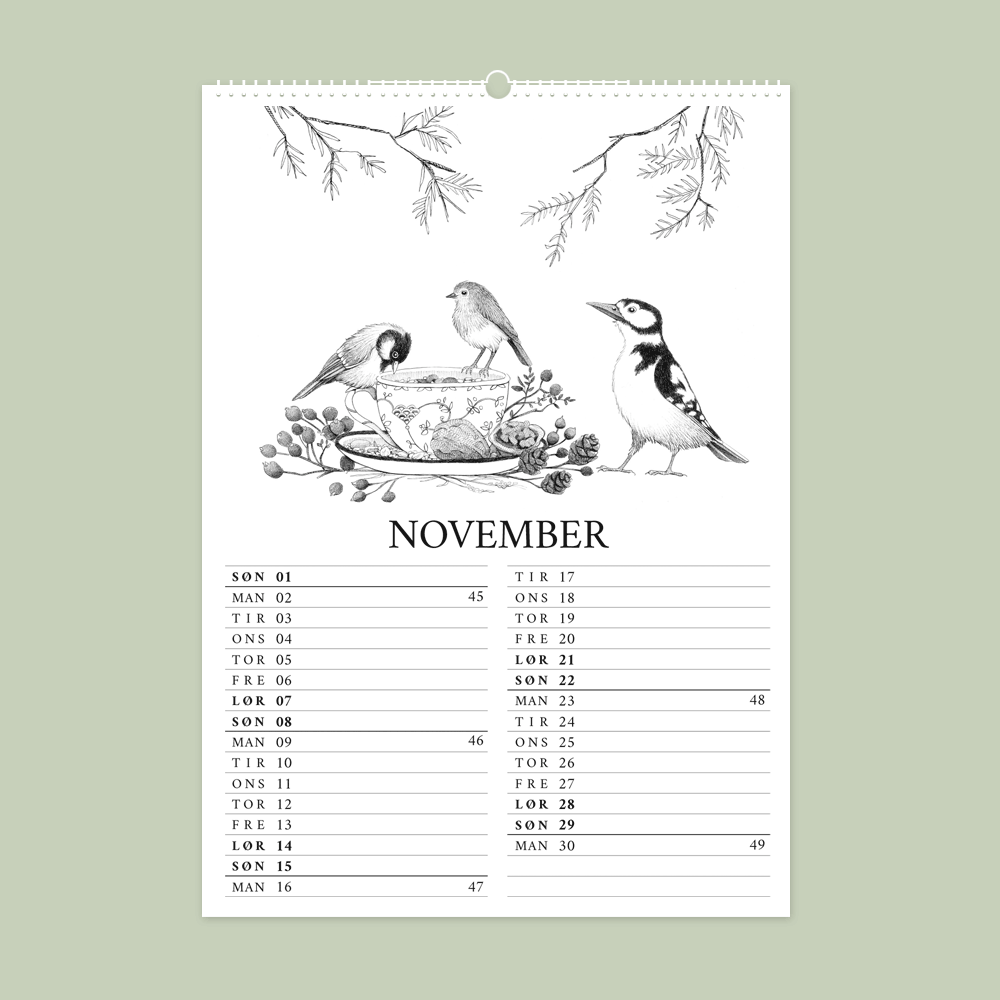 2026 vægkalender - Havens fugle