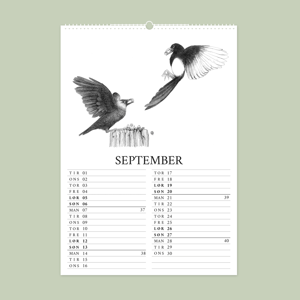 2026 vægkalender - Havens fugle