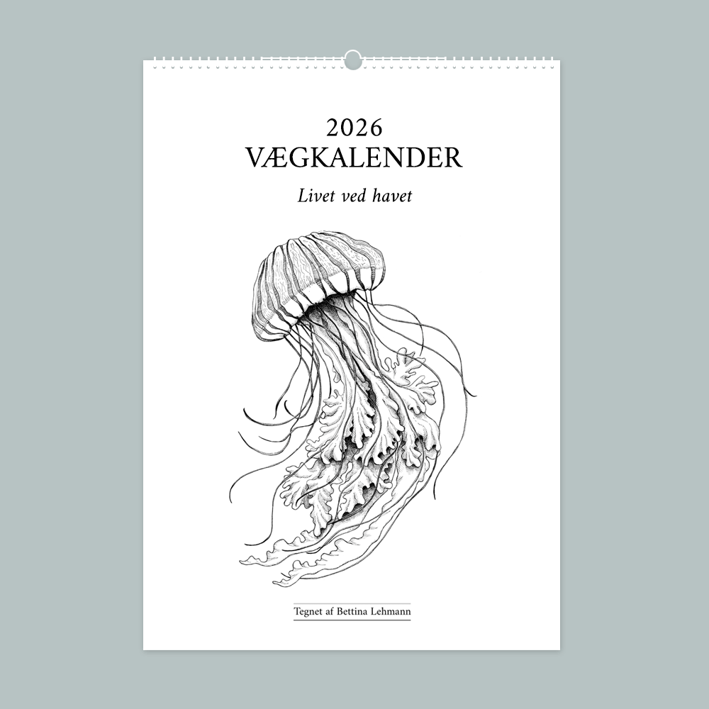 2026 vægkalender med håndtegnede illustrationer. Kunstkalender trykt på 300 g kvalitetspapir.
