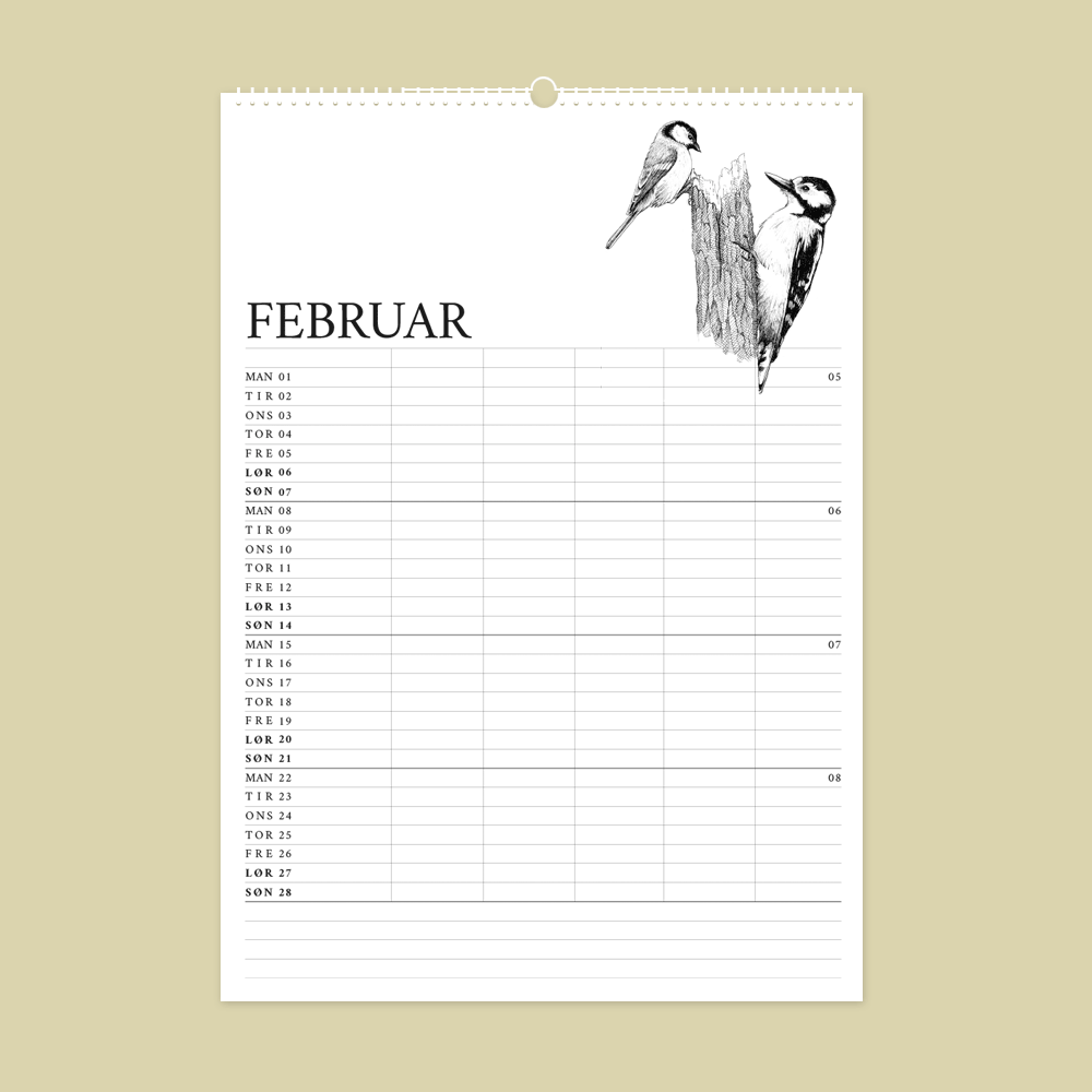 2027 familiekalender. Dyr fra den danske natur. 12 håndtegnede illustrationer af Bettina Lehmann. Musvit og spætte i februar