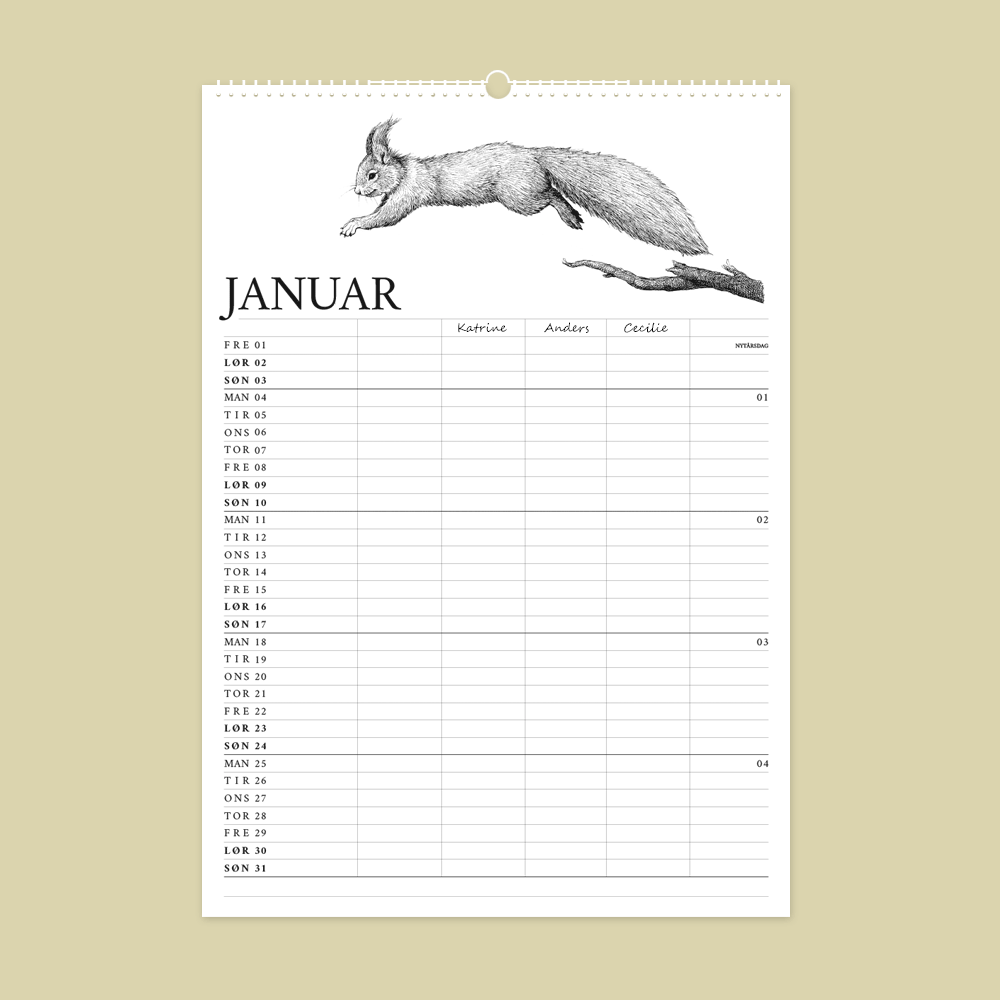 2027 familiekalender. Dyr fra den danske natur. 12 håndtegnede illustrationer af Bettina Lehmann. Egern i januar