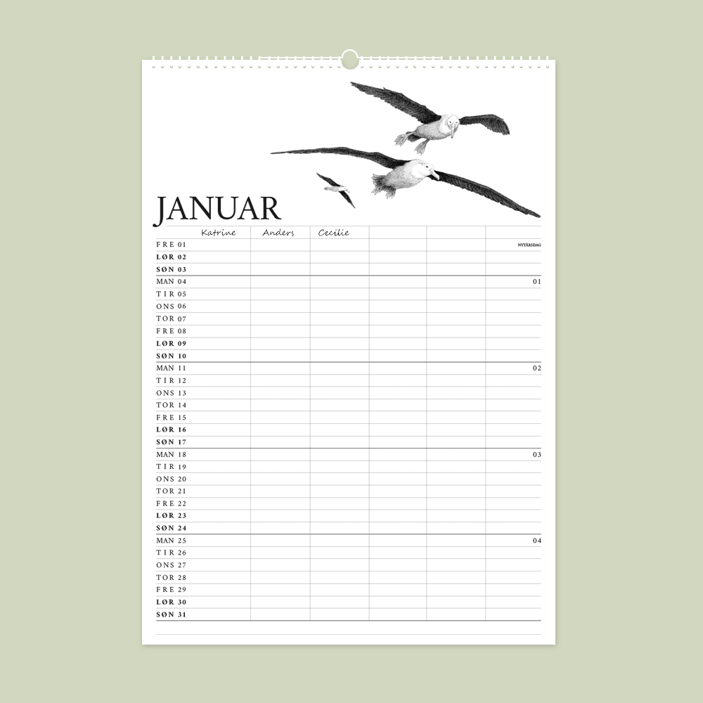 2027 familiekalender. Galapagos. 12 håndtegnede illustrationer af Bettina Lehmann.  Albatros i januar