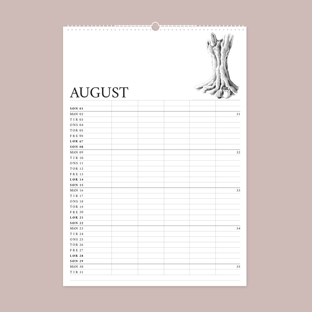 2027 familiekalender. H. C. Andersens eventyr. 12 håndtegnede illustrationer af Bettina Lehmann. August - Fyrtøjet