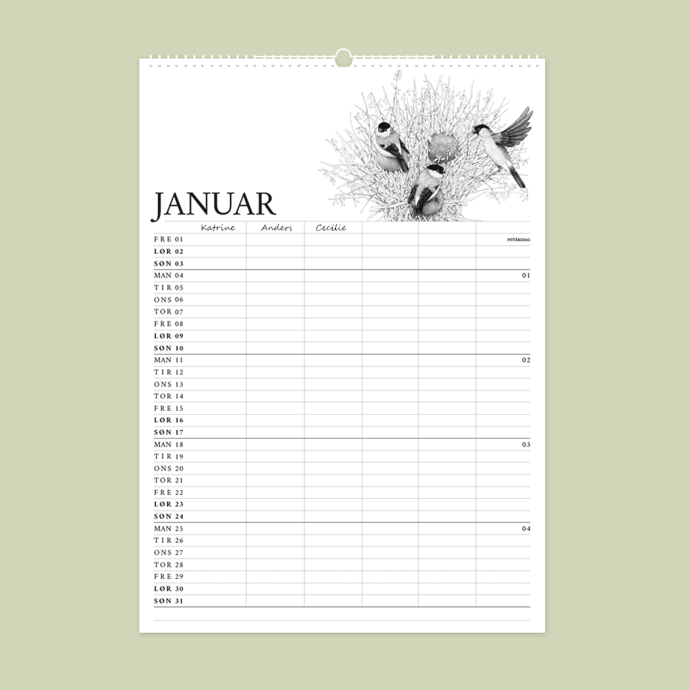 2027 familiekalender. Havens fugle. 12 håndtegnede illustrationer af Bettina Lehmann. Dompap
