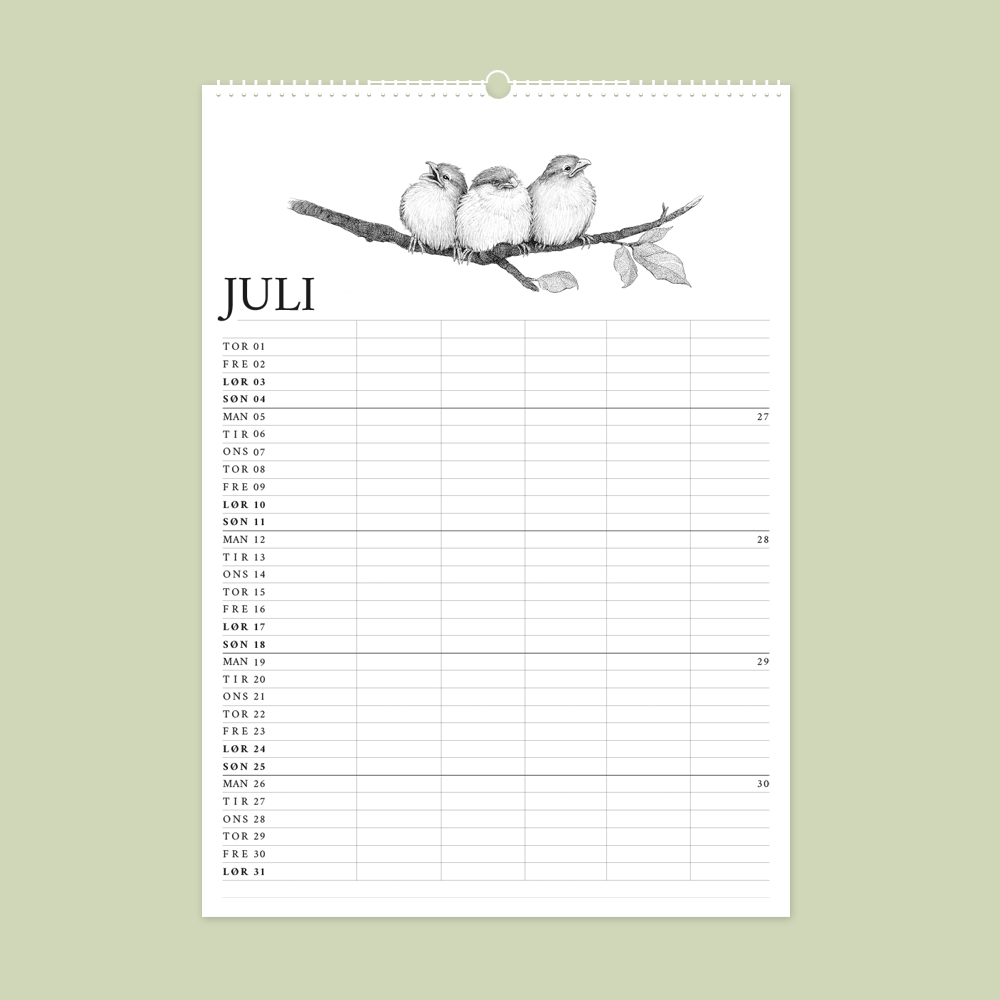 2027 familiekalender. Havens fugle. 12 håndtegnede illustrationer af Bettina Lehmann. Gråspurve
