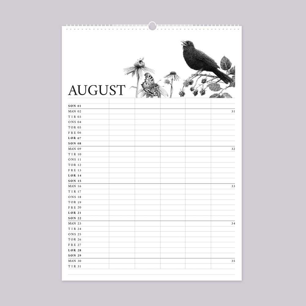 2027 familiekalender. Livet i den vilde have. 12 håndtegnede illustrationer af Bettina Lehmann. olsort, brombær, rød solhat og sommerfugl
