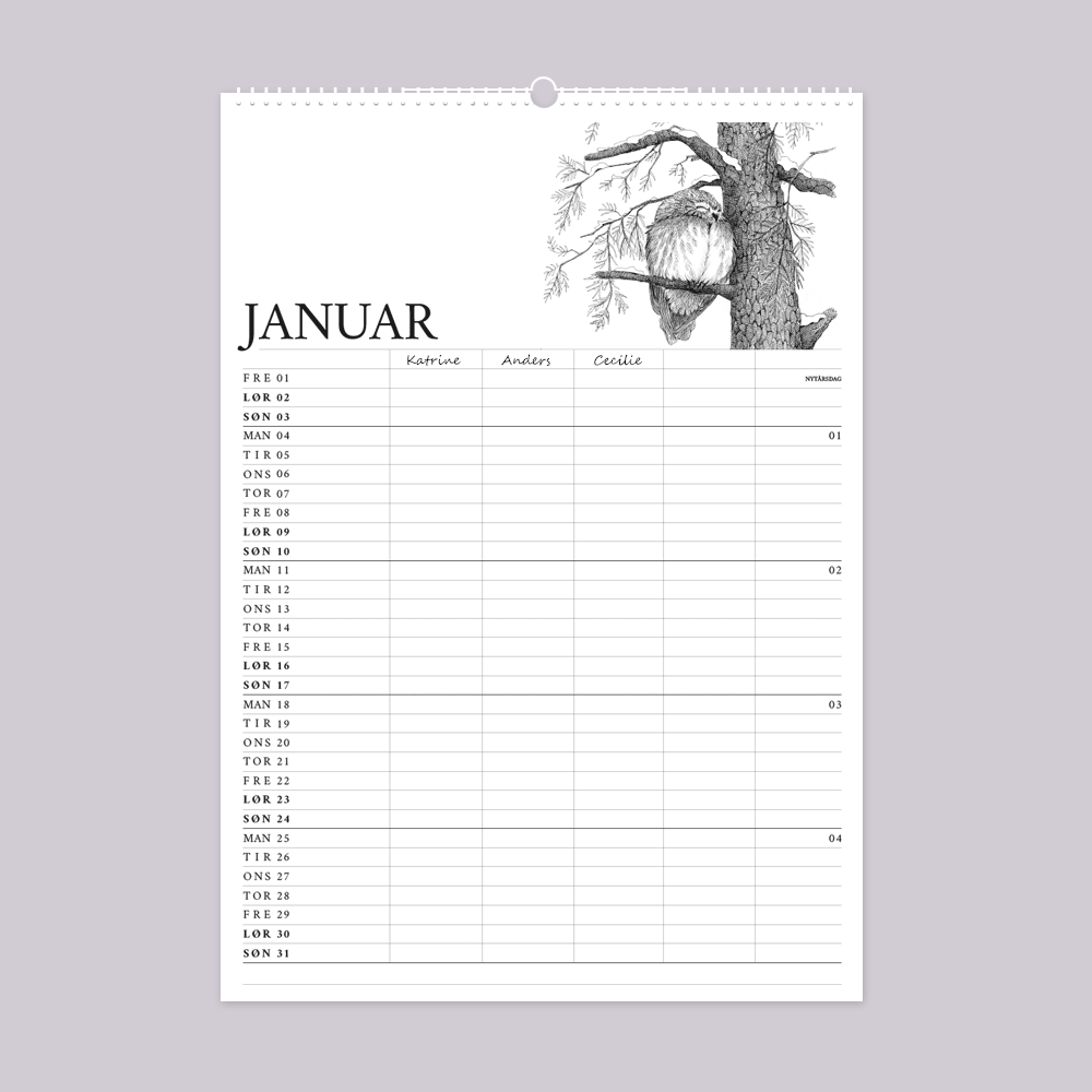 2027 familiekalender. Livet i den vilde have. 12 håndtegnede illustrationer af Bettina Lehmann. Natugle