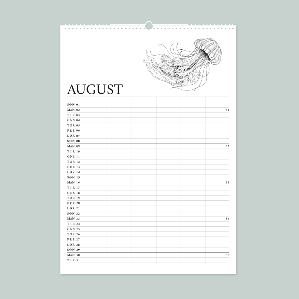 2027 Familiekalender Livet ved havet med håndtegnede illustrationer af Bettina Lehmann. Gople
