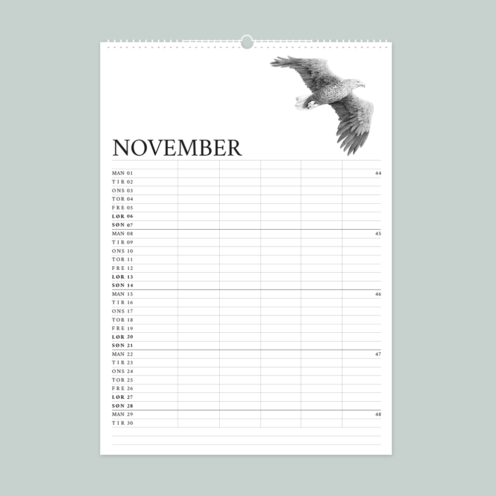 2027 Familiekalender Livet ved havet med håndtegnede illustrationer af Bettina Lehmann. Havørn