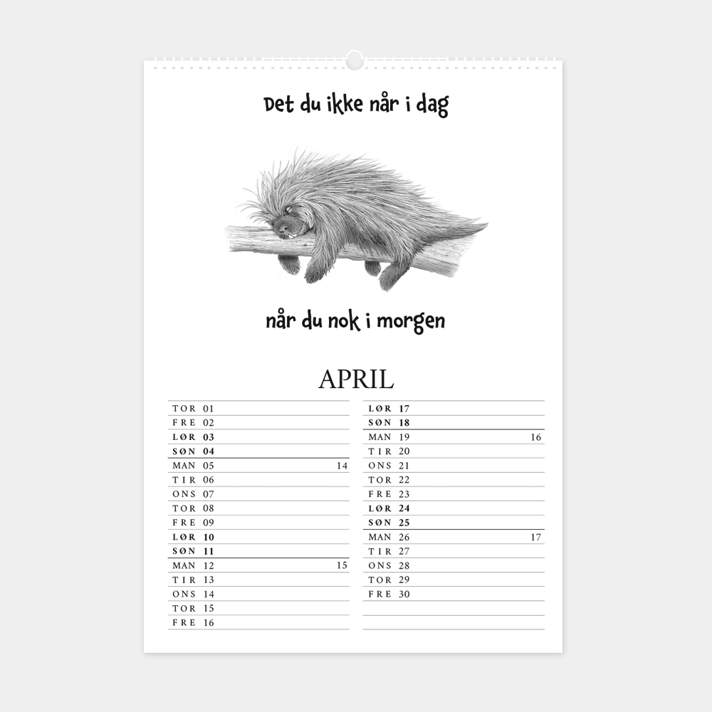 Kalender 2027 med citater og håndtegnede illustrationer, 'Det du ikke når i dag, når du nok i morgen'