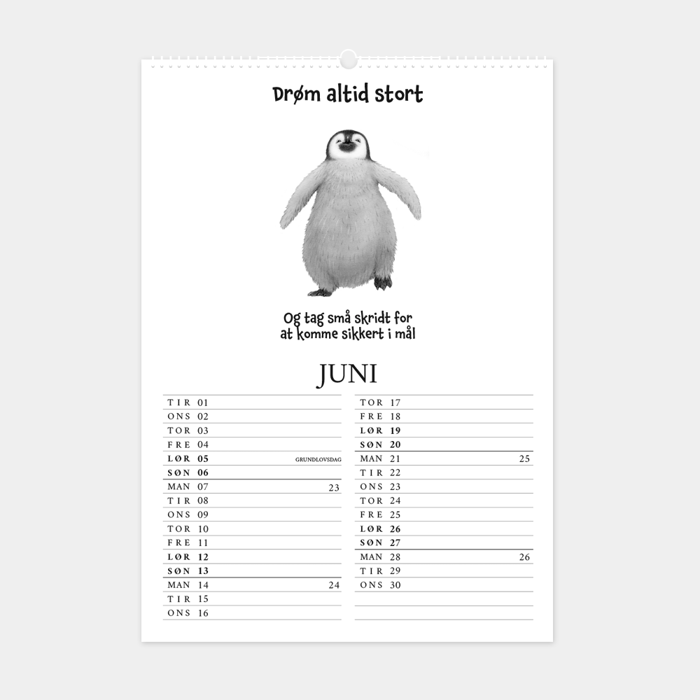 Kalender 2027 med citater og håndtegnede illustrationer, 'Drøm altid stort, og tag små skridt for at komme sikkert i mål'