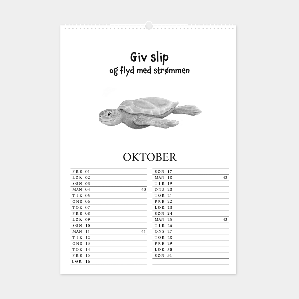 Kalender 2027 med citater og håndtegnede illustrationer, 'Giv slip og flyd med strømmen'