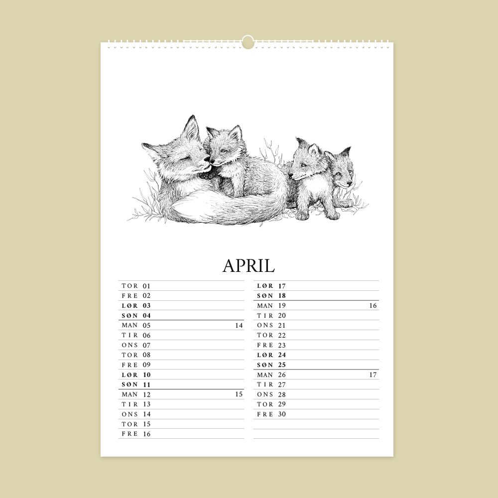 2027 kunstkalender. Dyr fra den danske natur. 12 håndtegnede illustrationer af Bettina Lehmann. Ræve i april