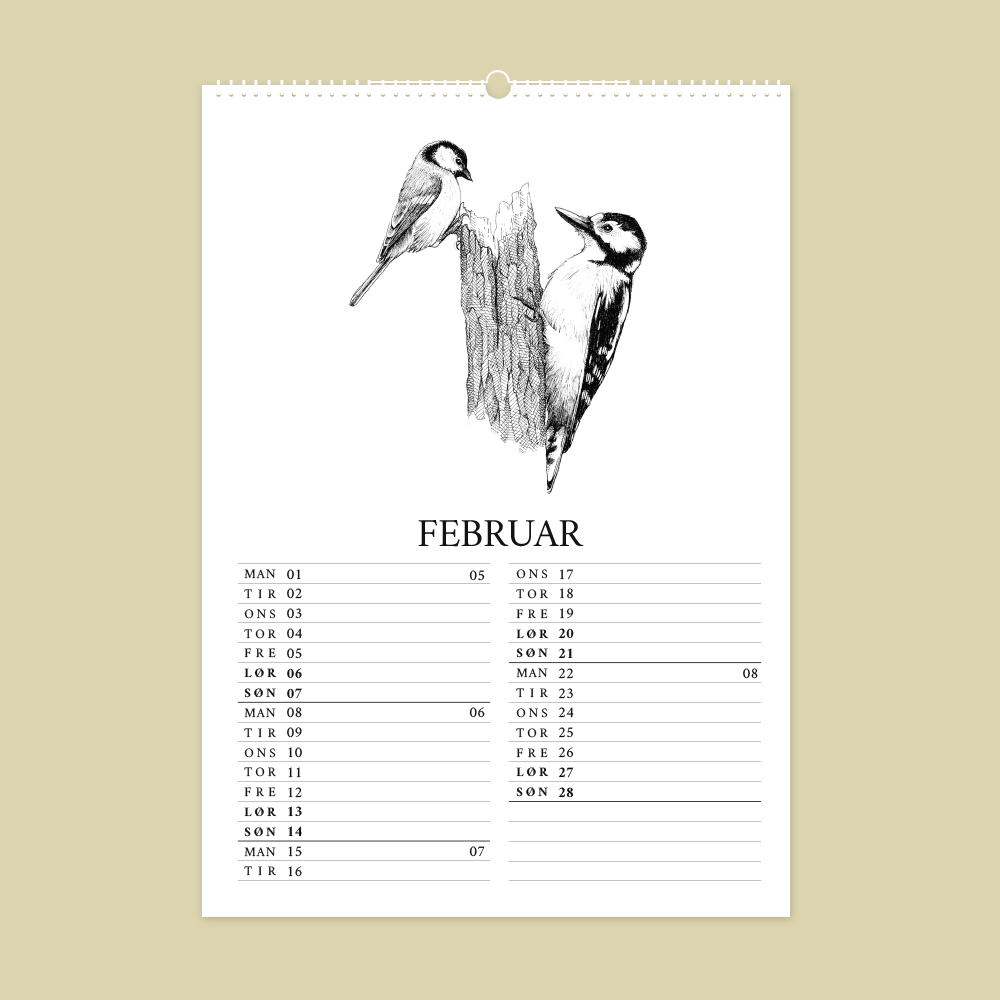 2027 kunstkalender. Dyr fra den danske natur. 12 håndtegnede illustrationer af Bettina Lehmann.Musvit og spætte i februar