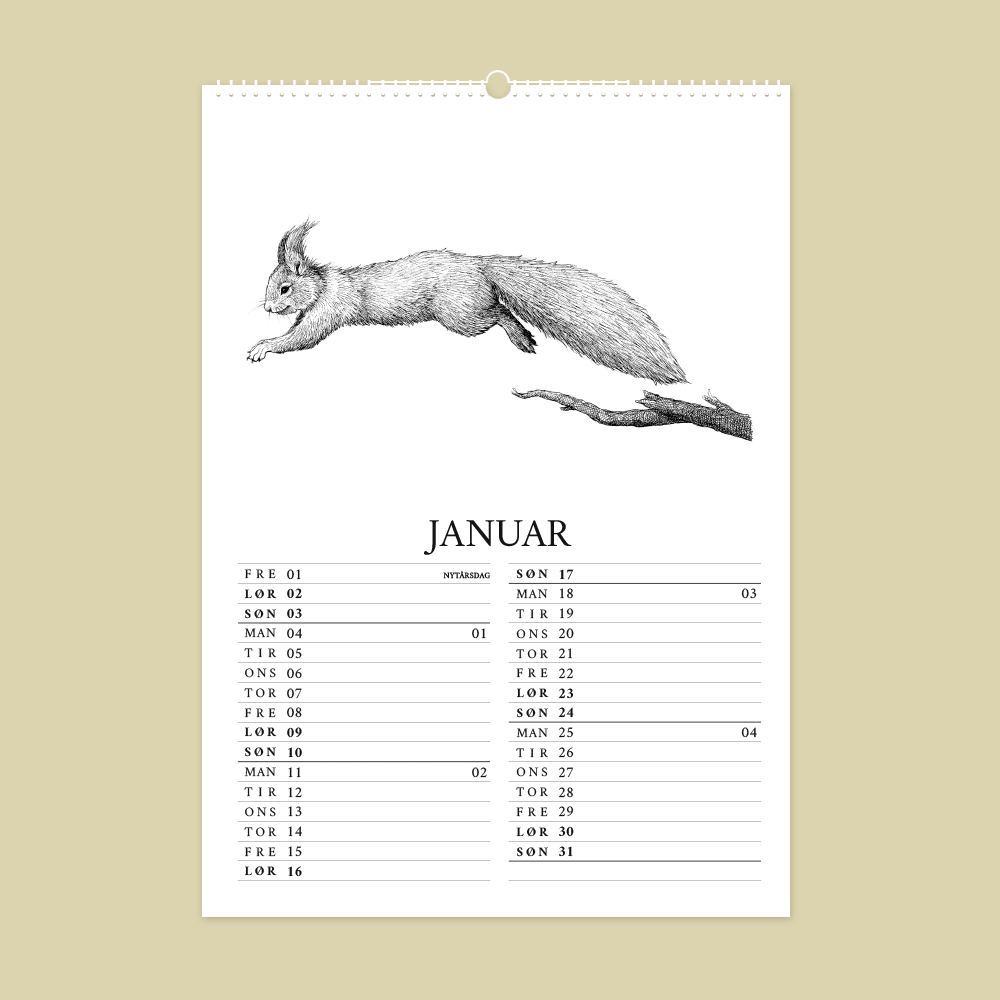 2027 kunstkalender. Dyr fra den danske natur. 12 håndtegnede illustrationer af Bettina Lehmann. Egern i januar