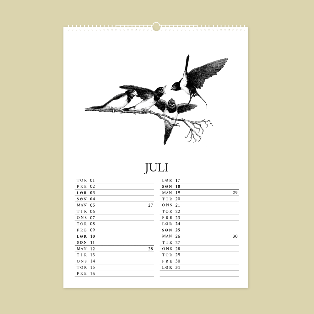 2027 kunstkalender. Dyr fra den danske natur. 12 håndtegnede illustrationer af Bettina Lehmann. Svaler i juli