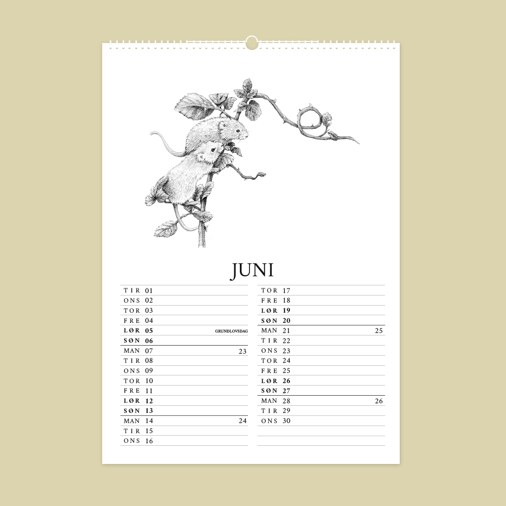 2027 kunstkalender. Dyr fra den danske natur. 12 håndtegnede illustrationer af Bettina Lehmann. Markmus i juni