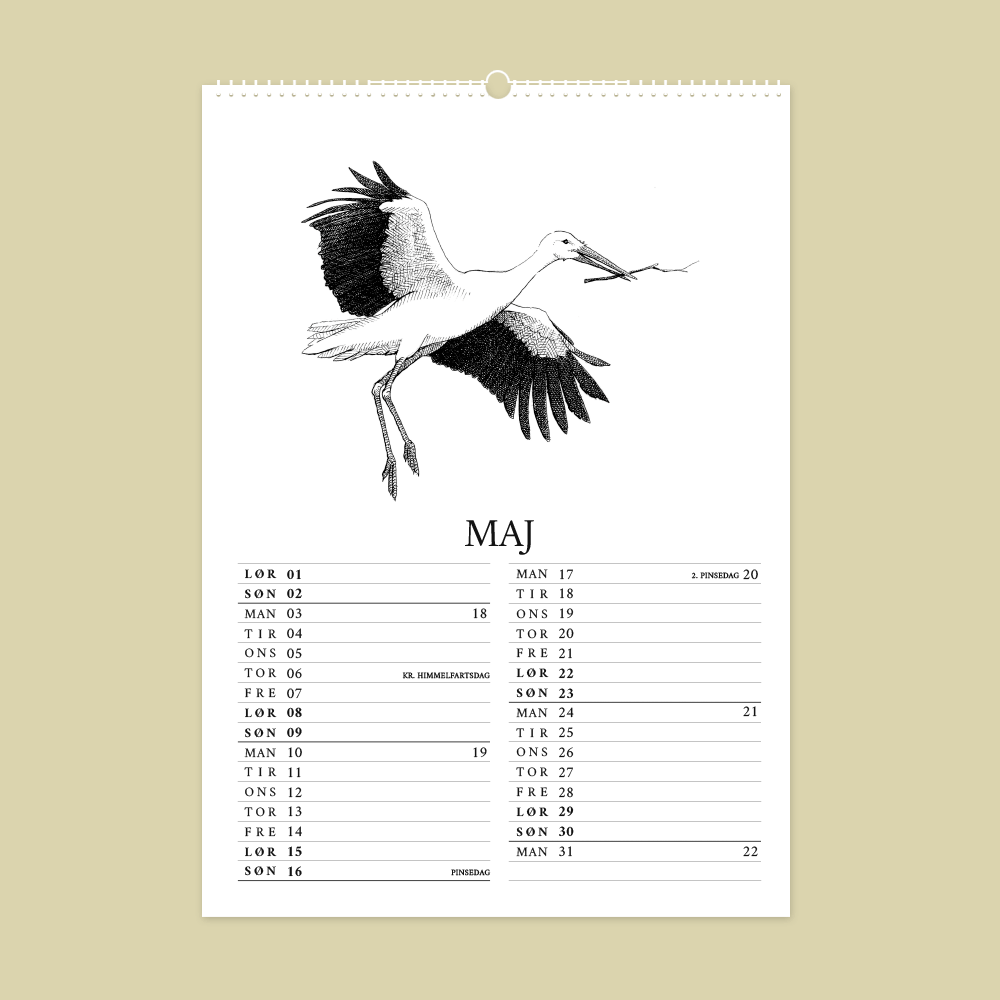 2027 kunstkalender. Dyr fra den danske natur. 12 håndtegnede illustrationer af Bettina Lehmann. Stork i maj