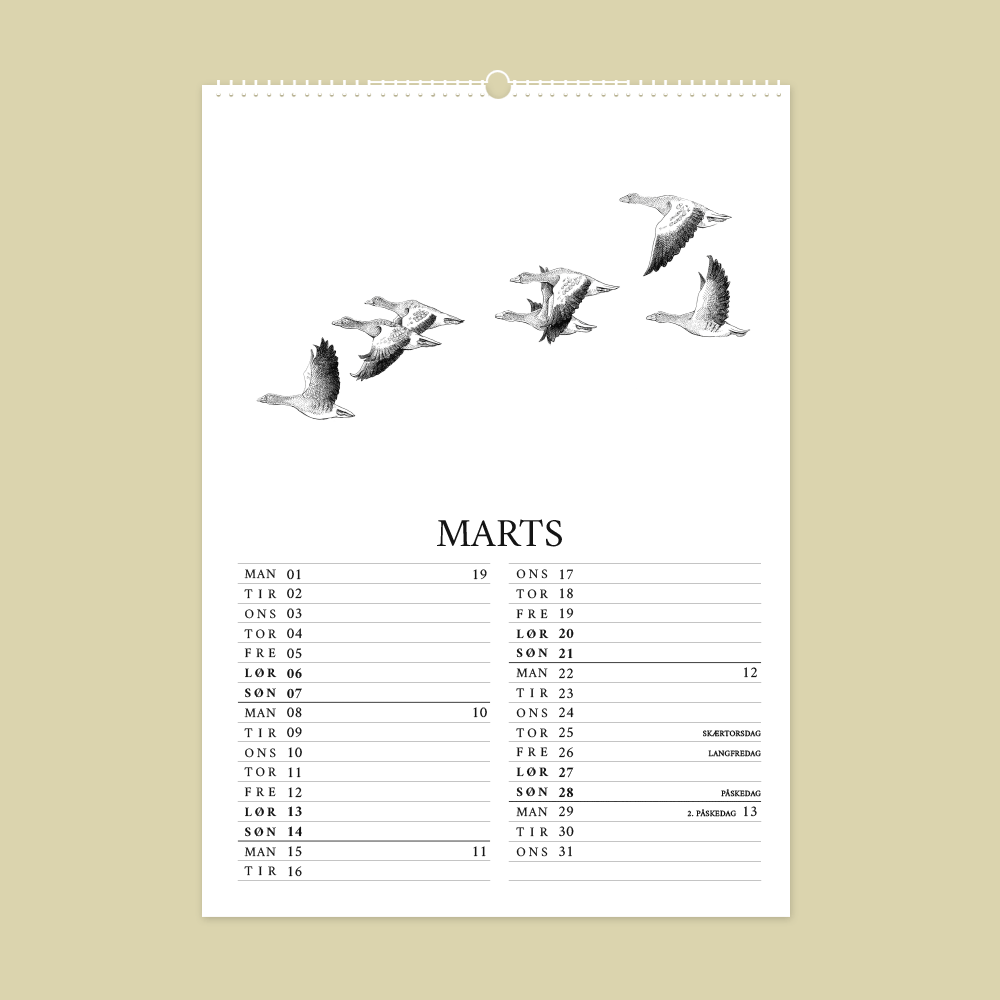 2027 kunstkalender. Dyr fra den danske natur. 12 håndtegnede illustrationer af Bettina Lehmann. Grågæs i marts