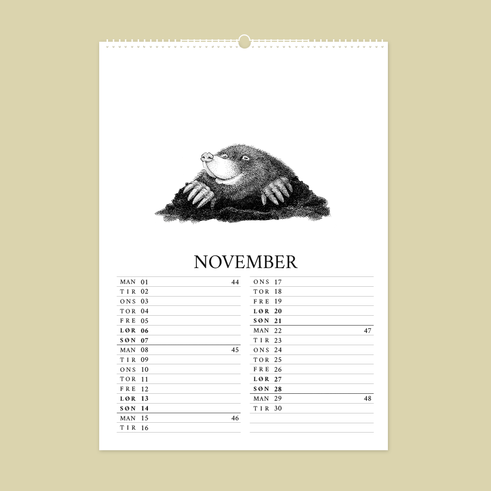 2027 kunstkalender. Dyr fra den danske natur. 12 håndtegnede illustrationer af Bettina Lehmann. Muldvarp i november