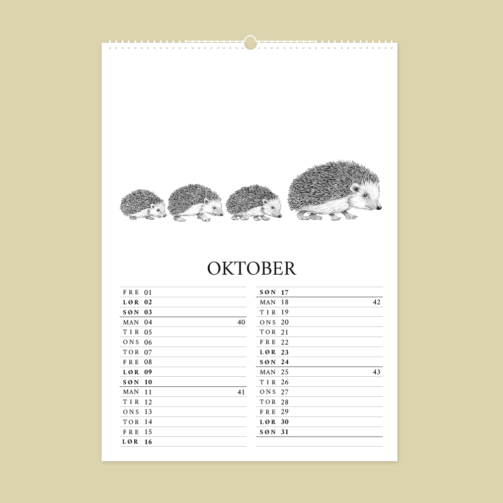 2027 kunstkalender. Dyr fra den danske natur. 12 håndtegnede illustrationer af Bettina Lehmann. Pindsvin i oktober