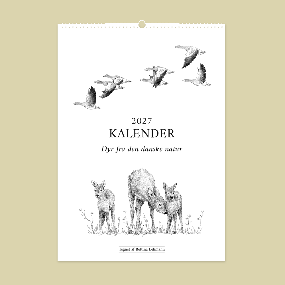 2027 kalender. Dyr fra den danske natur. 12 håndtegnede illustrationer af Bettina Lehmann.